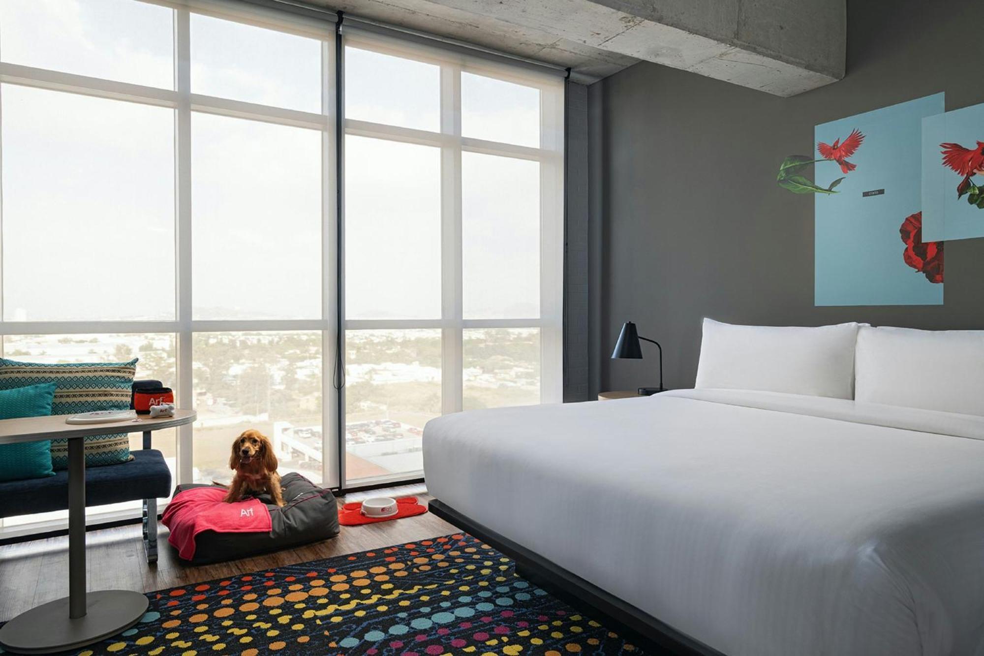 Aloft Guadalajara Sur Hotell Santa Anita  Eksteriør bilde